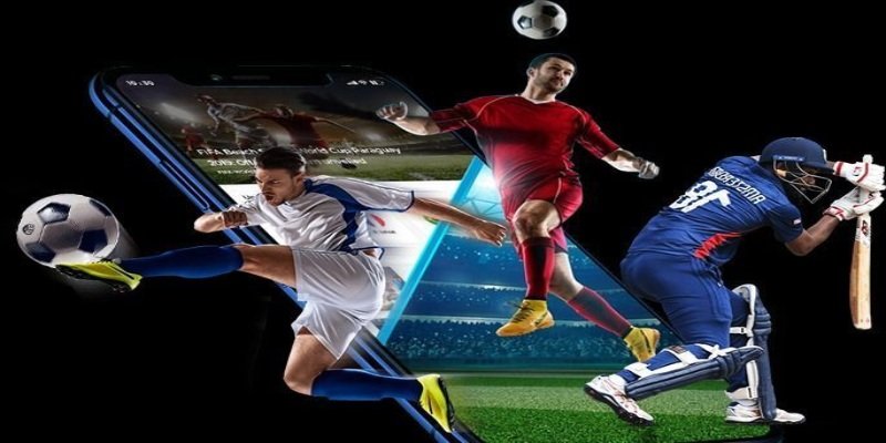 Thông tin cần hiểu về tennis tại sảnh thể thao CMD là gì?