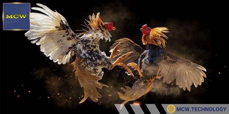 Dịch vụ hỗ trợ kịp thời